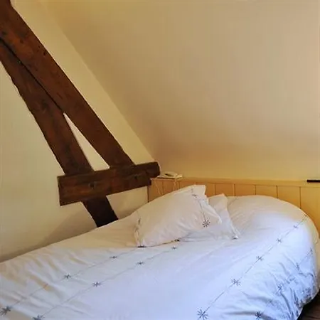 Отель La Manoir De La Salamandre