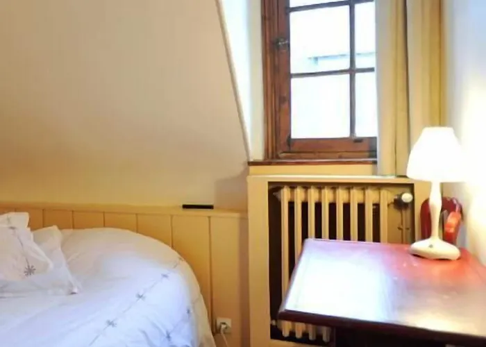 La Manoir De La Salamandre Отель 3*